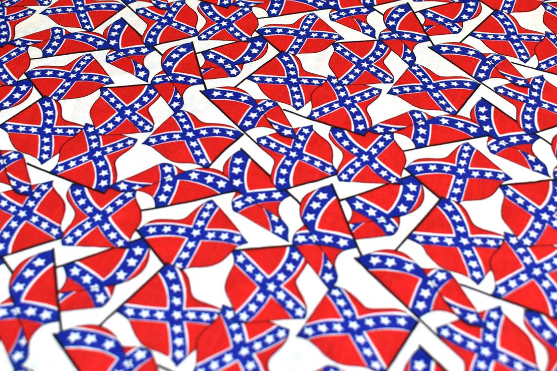 Confederate American Flag - image 4