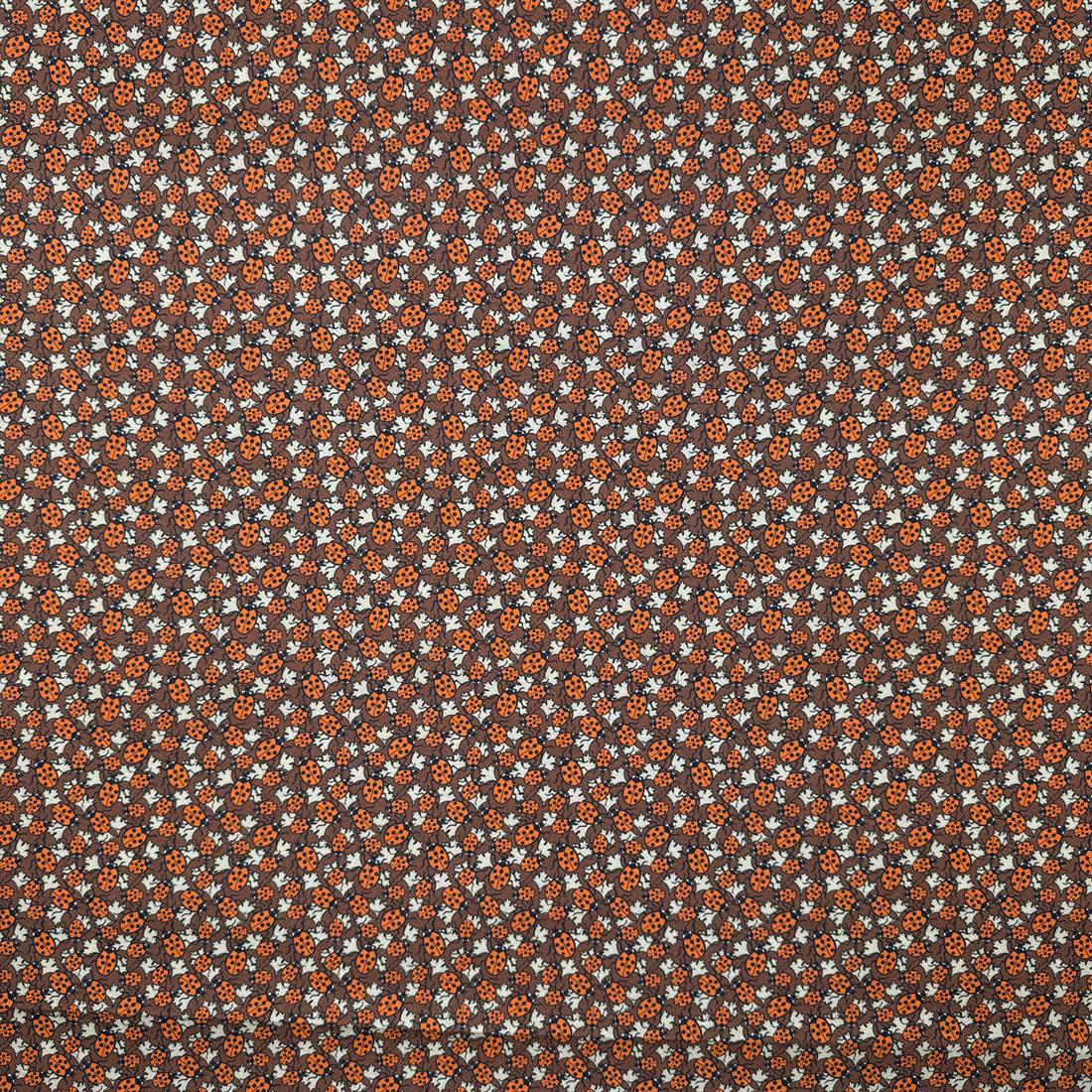 Maurice Pillard Verneuil Ladybug