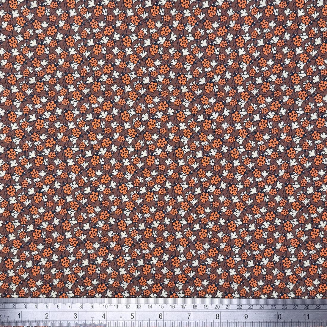 Maurice Pillard Verneuil Ladybug