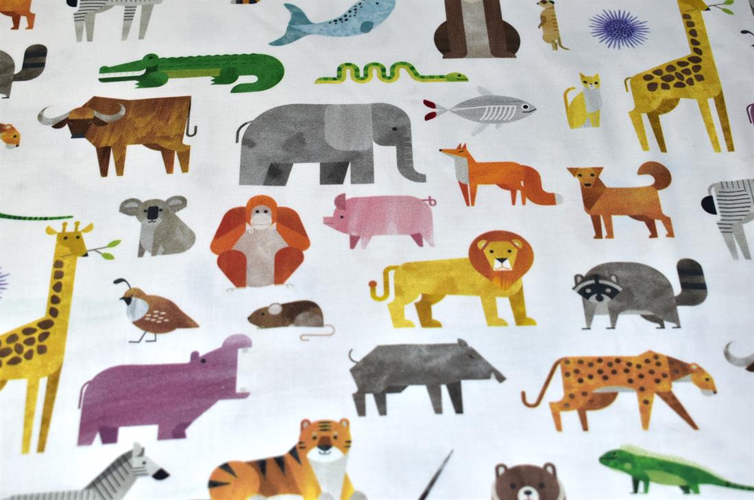 Zoo Animals - image 3