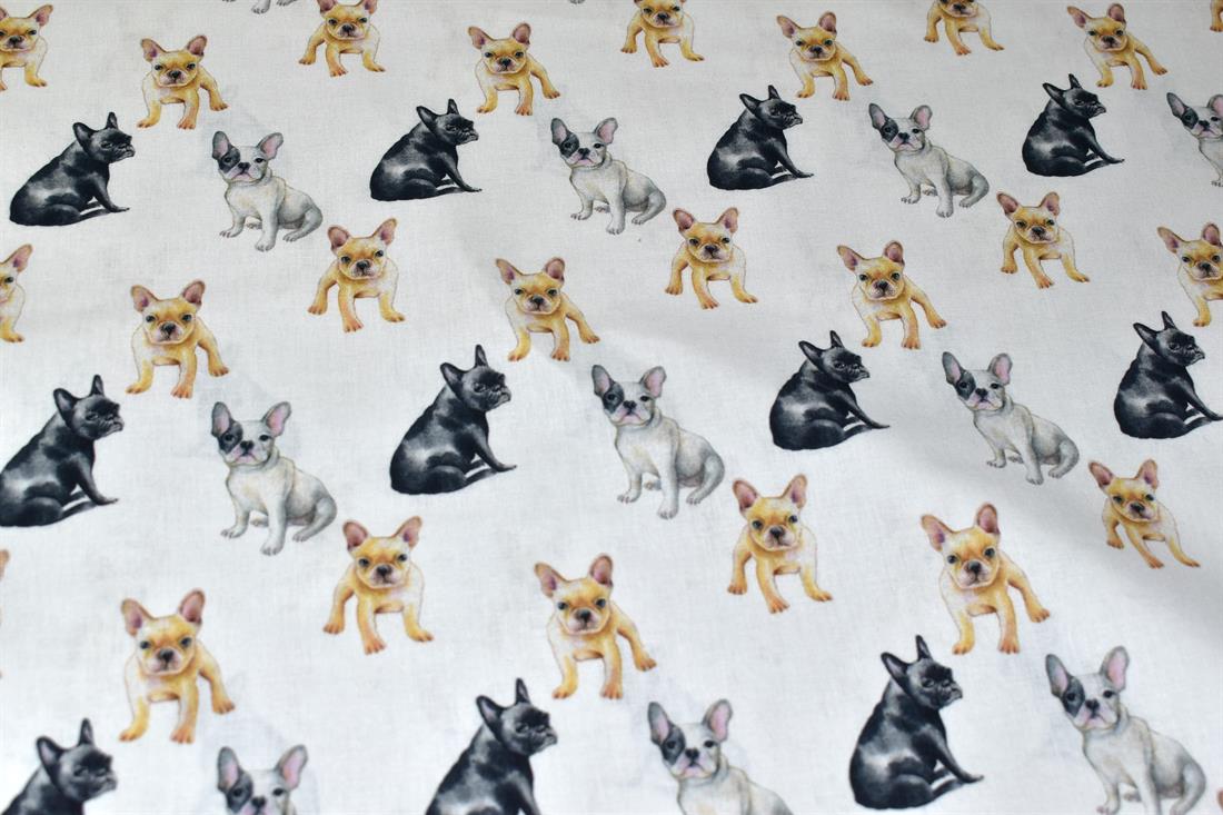 French Bulldog