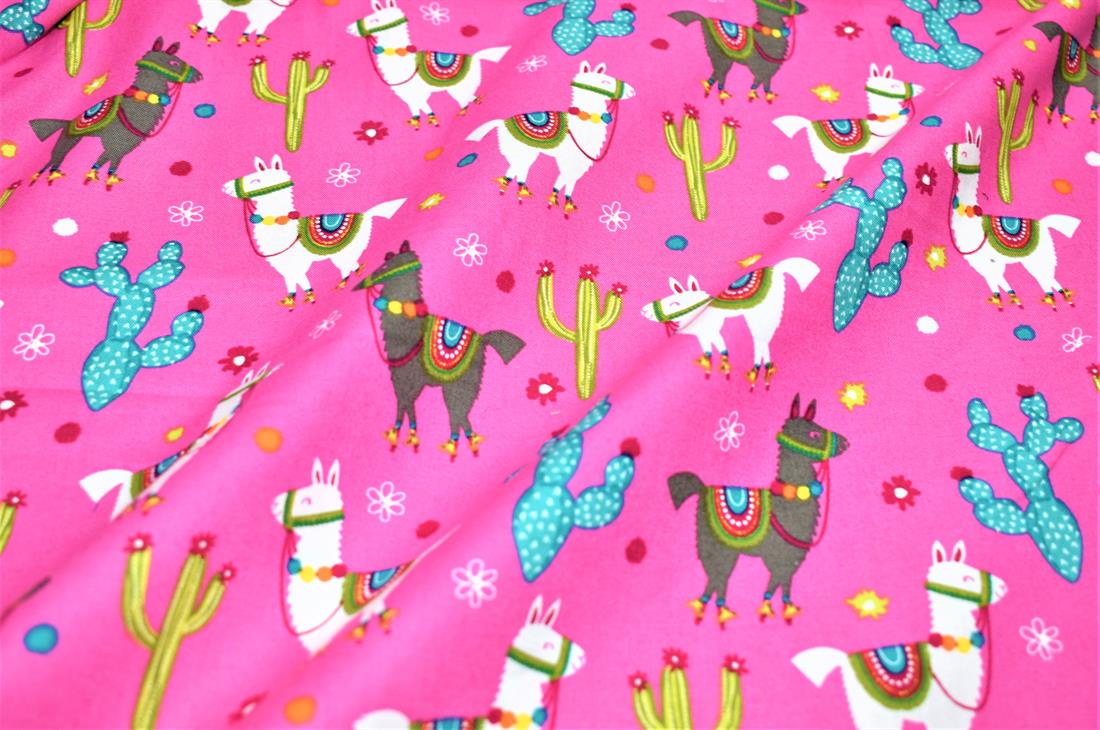 Llama - image 2