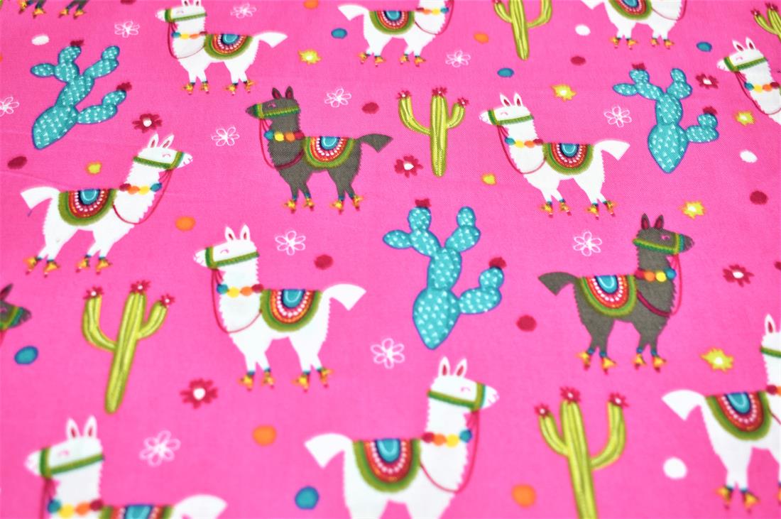 Llama - image 4
