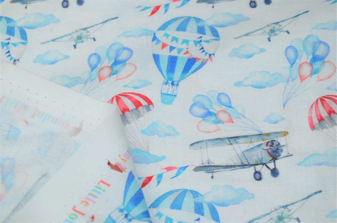 Flying Airplane Print