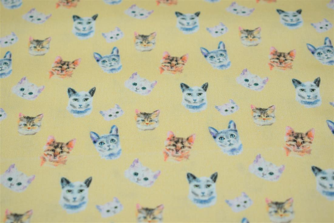 Cat Faces Print