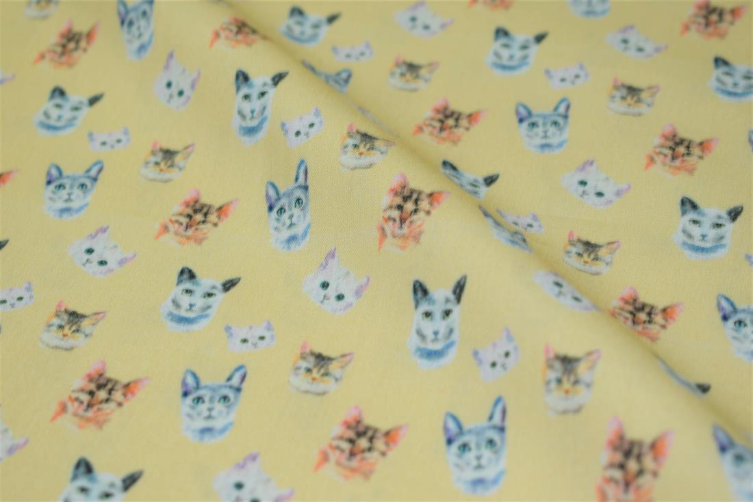 Cat Faces Print