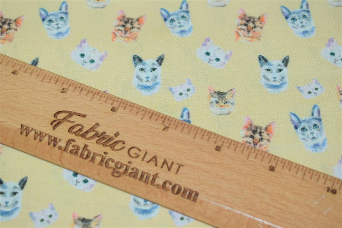Cat Faces Print