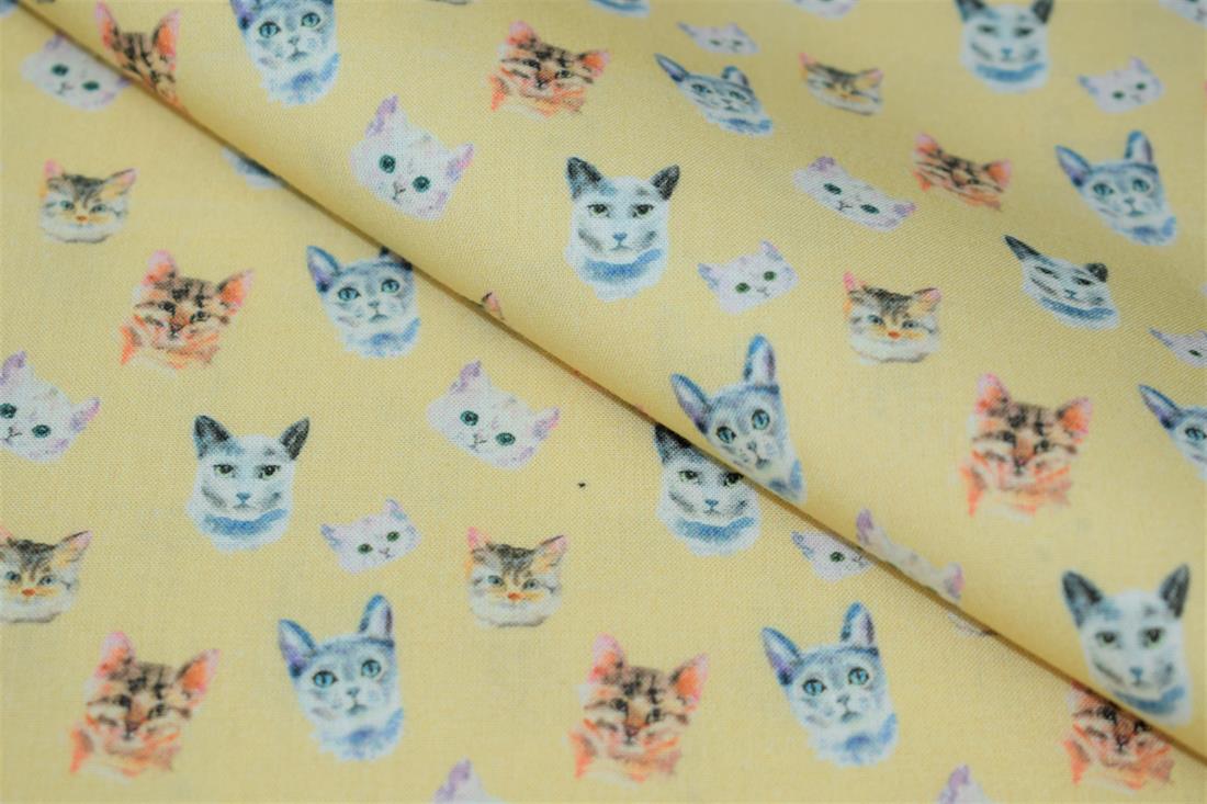 Cat Faces Print