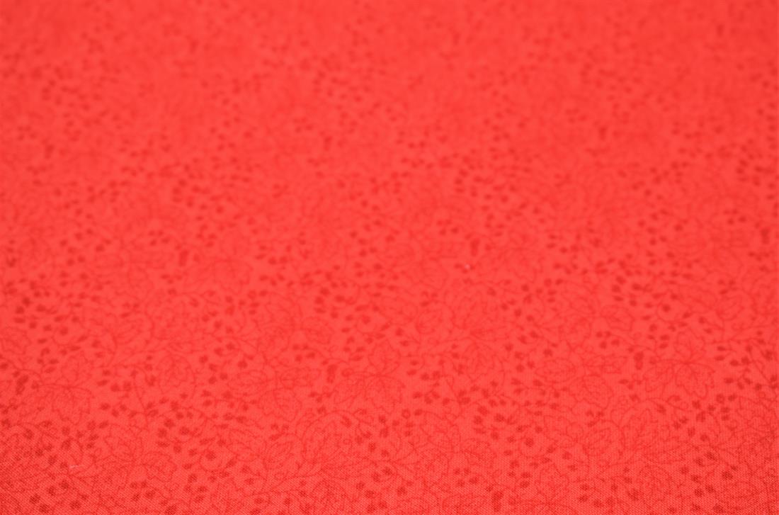 Printed Blender Cotton - image 5