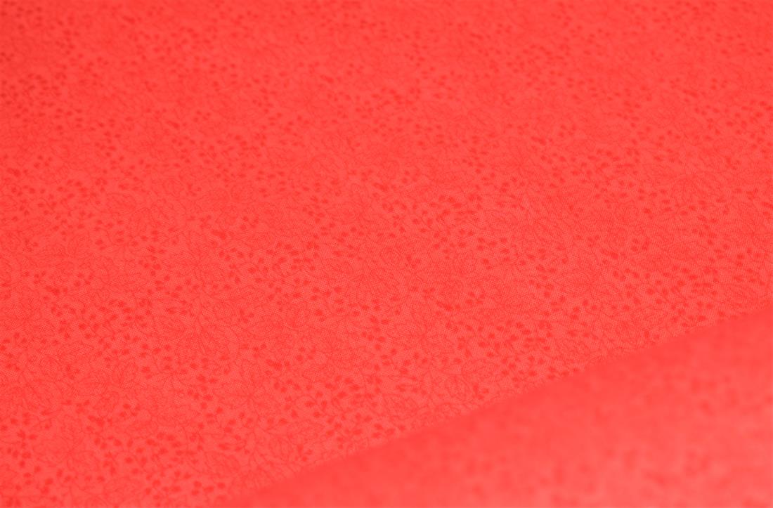 Printed Blender Cotton - image 7