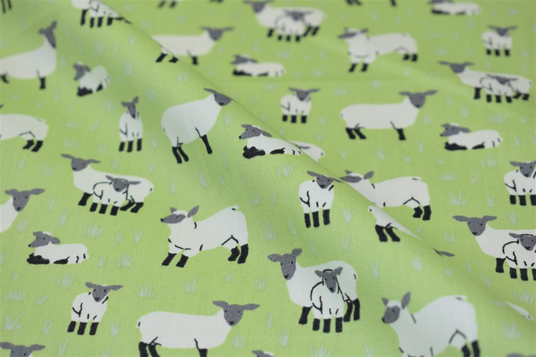 Sheep