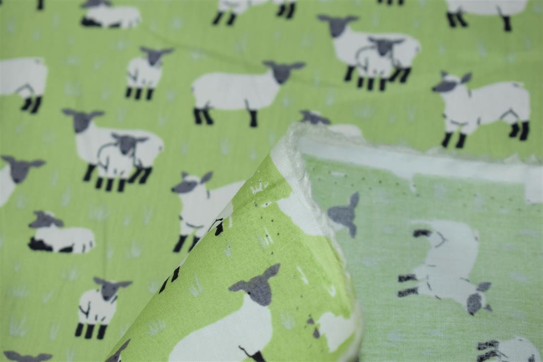 Sheep