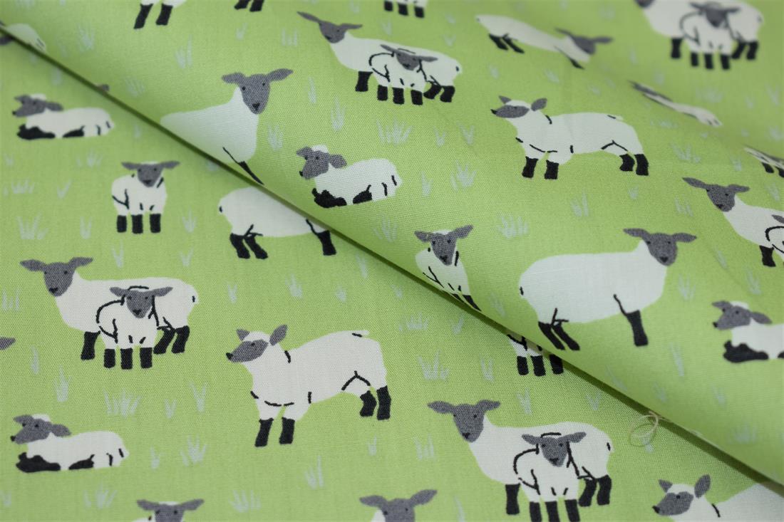 Sheep