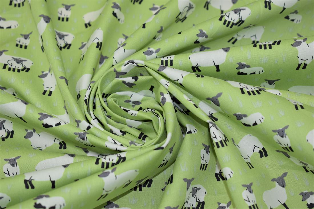 Sheep