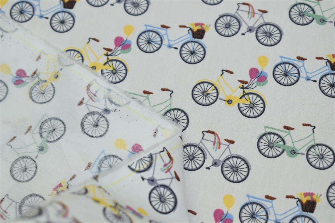 Bicycle Print