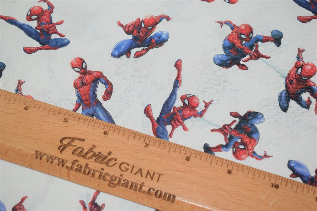 Spiderman Print