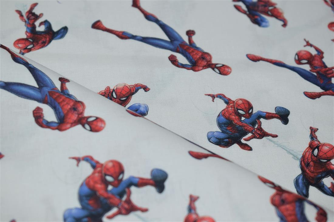 Spiderman Print
