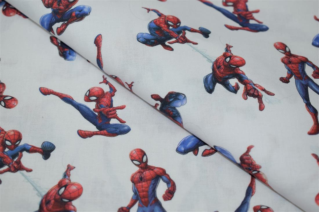 Spiderman Print