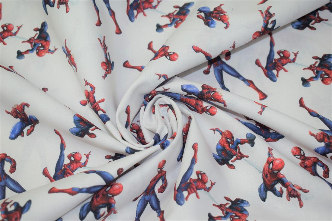 Spiderman Print