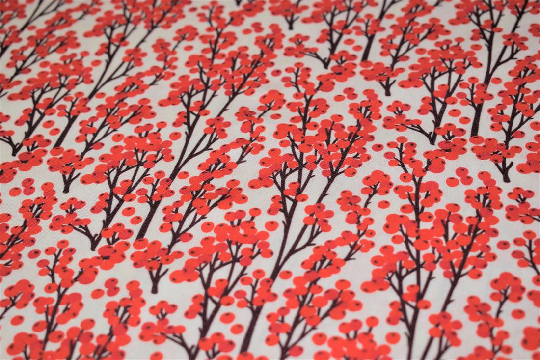 Redcurrant Berries Print