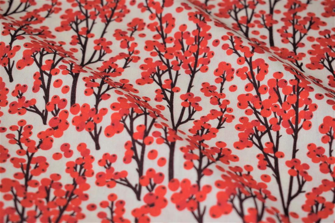 Redcurrant Berries Print