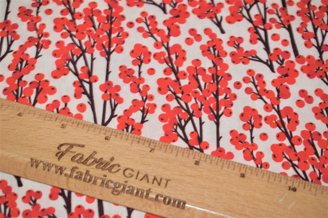 Redcurrant Berries Print