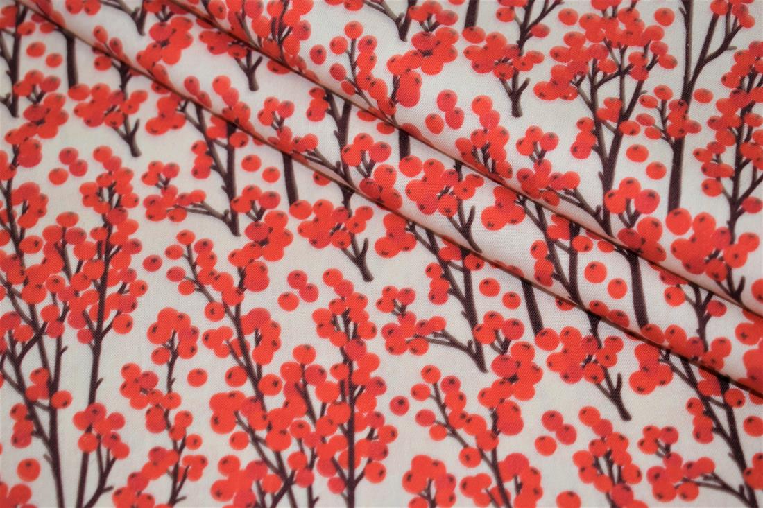 Redcurrant Berries Print