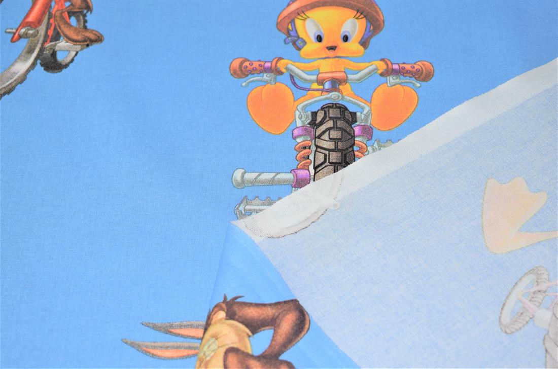 Looney Tunes Print