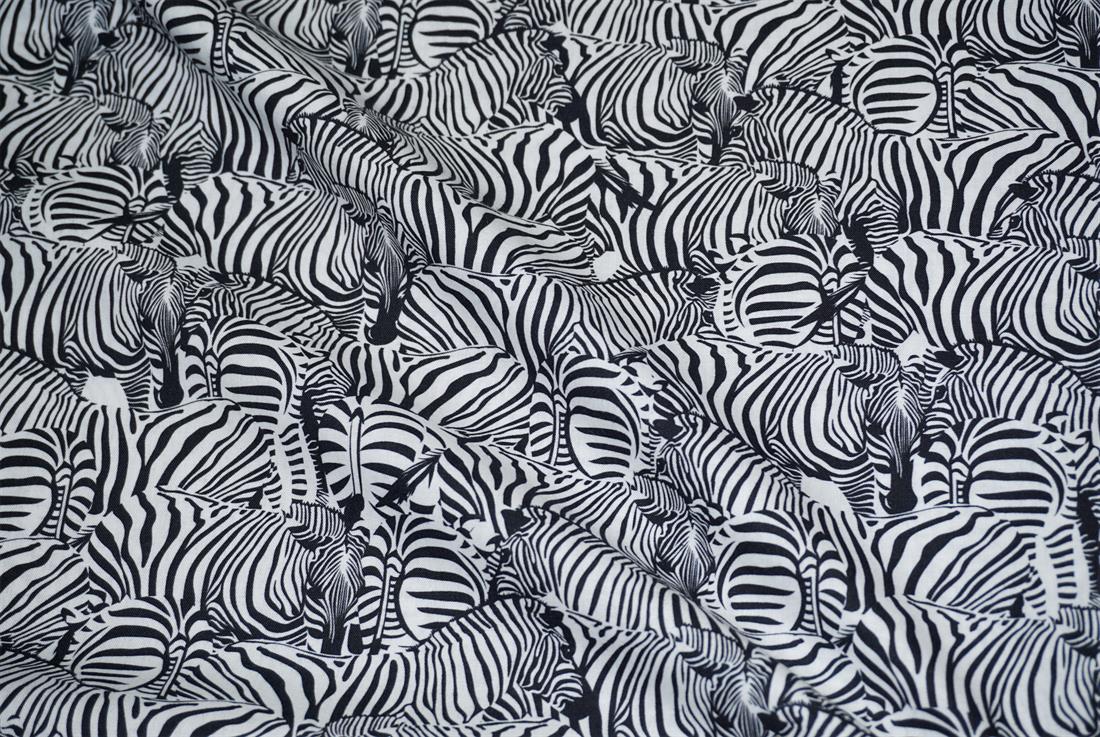 Zebras Print