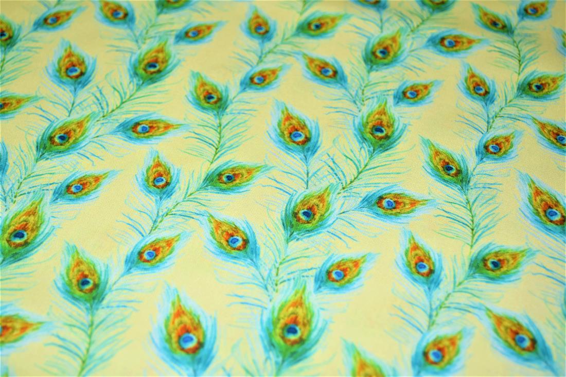  - image 4