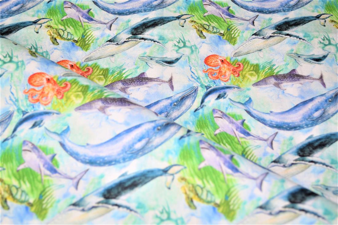  - image 7