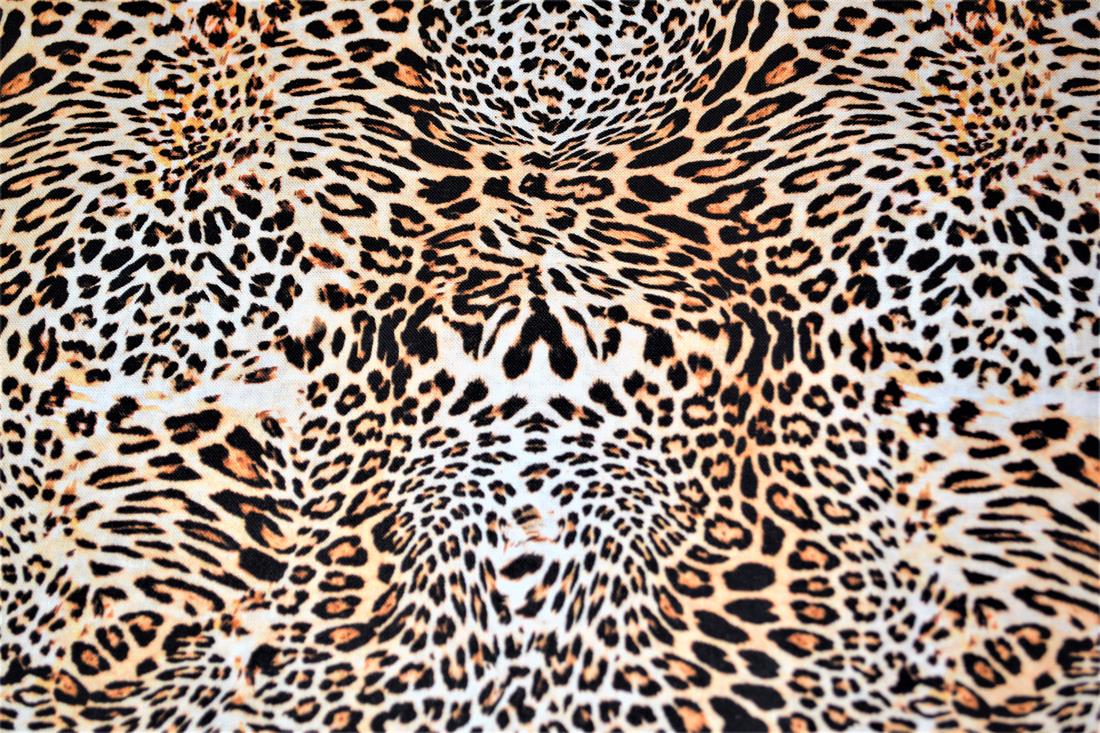 Animals Skin Print