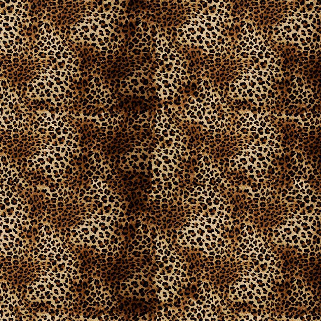  - image 1