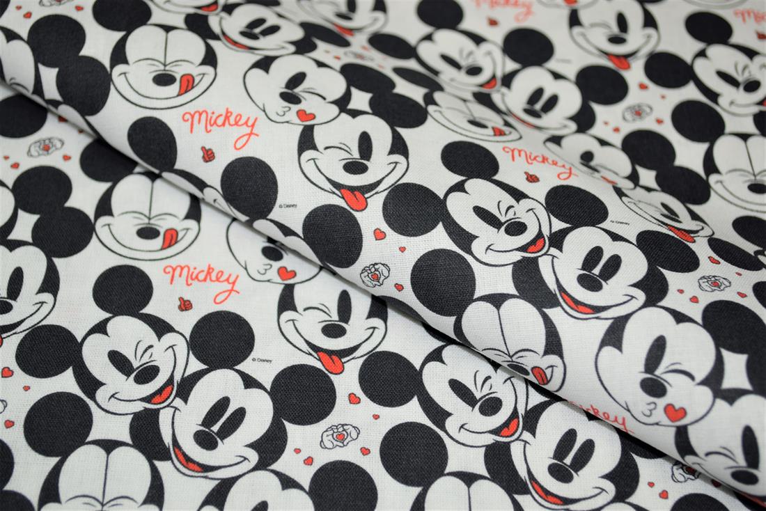 Mickey Love - image 1