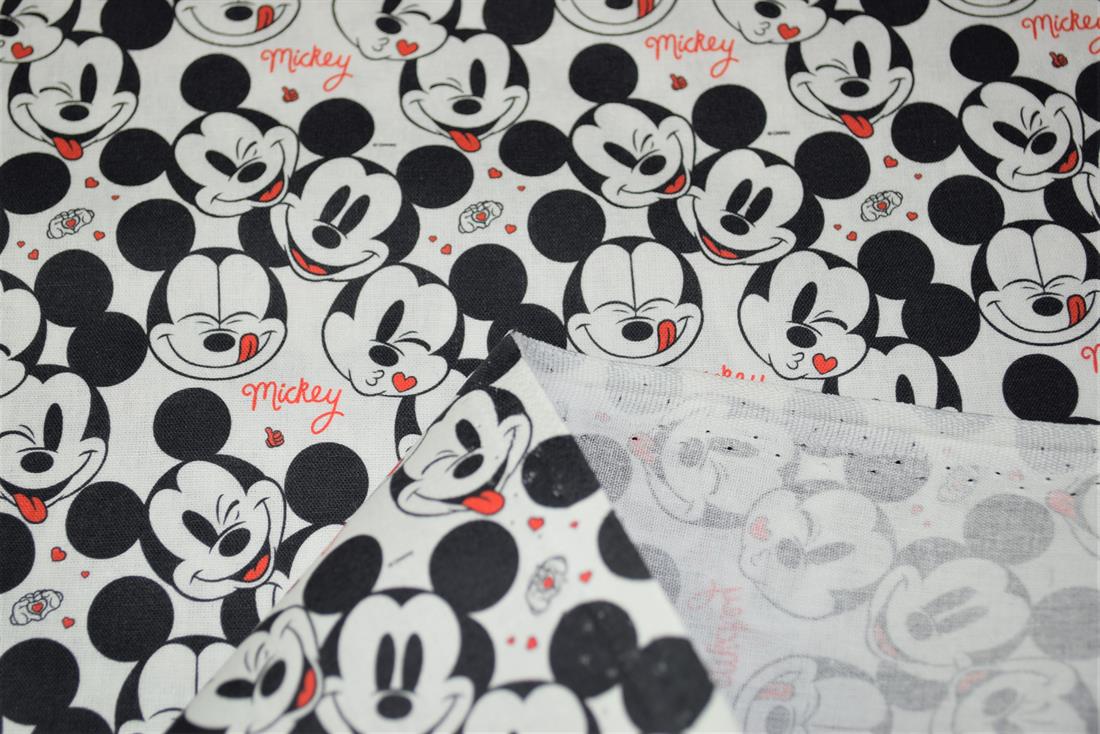 Mickey Love - image 6