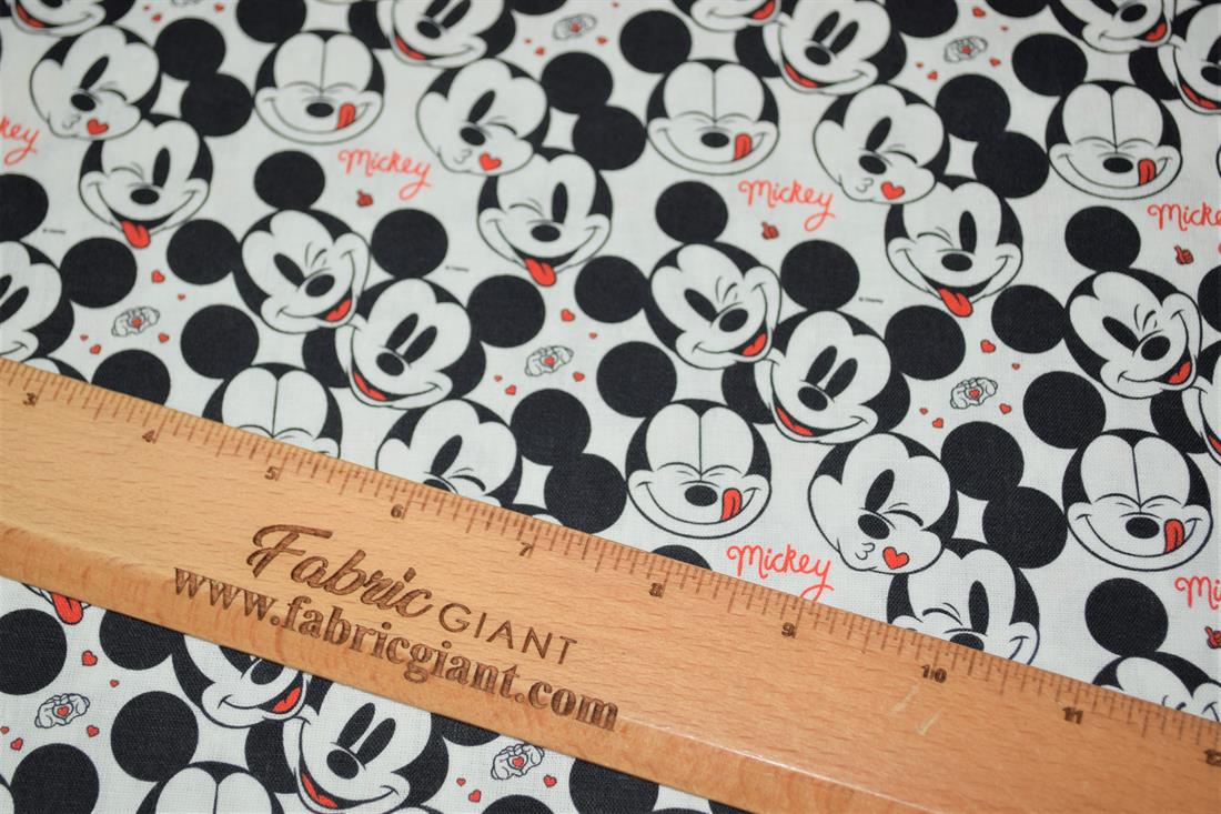 Mickey Love - image 7