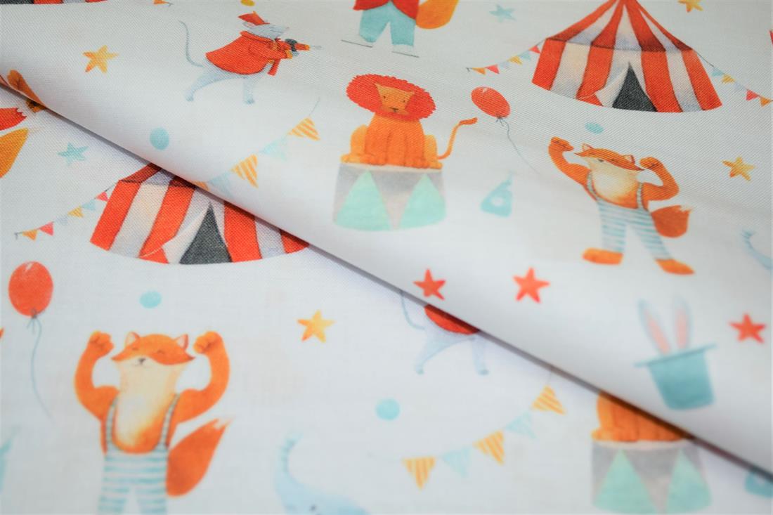 Circus - image 1