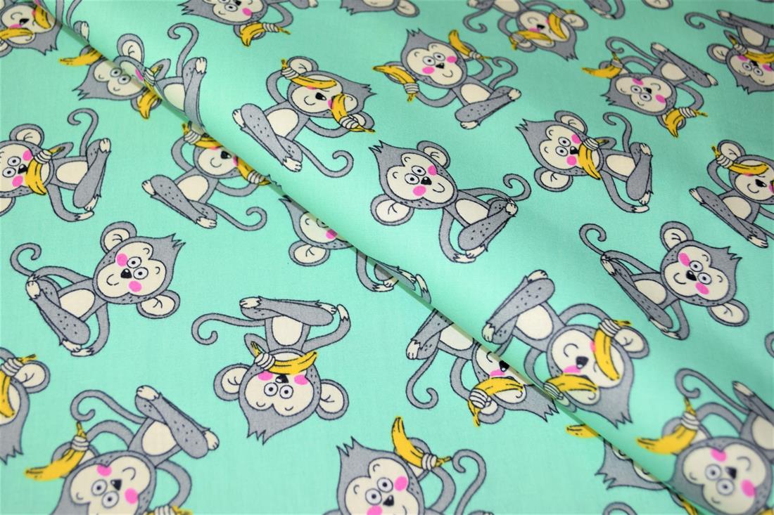 Monkeys - image 1