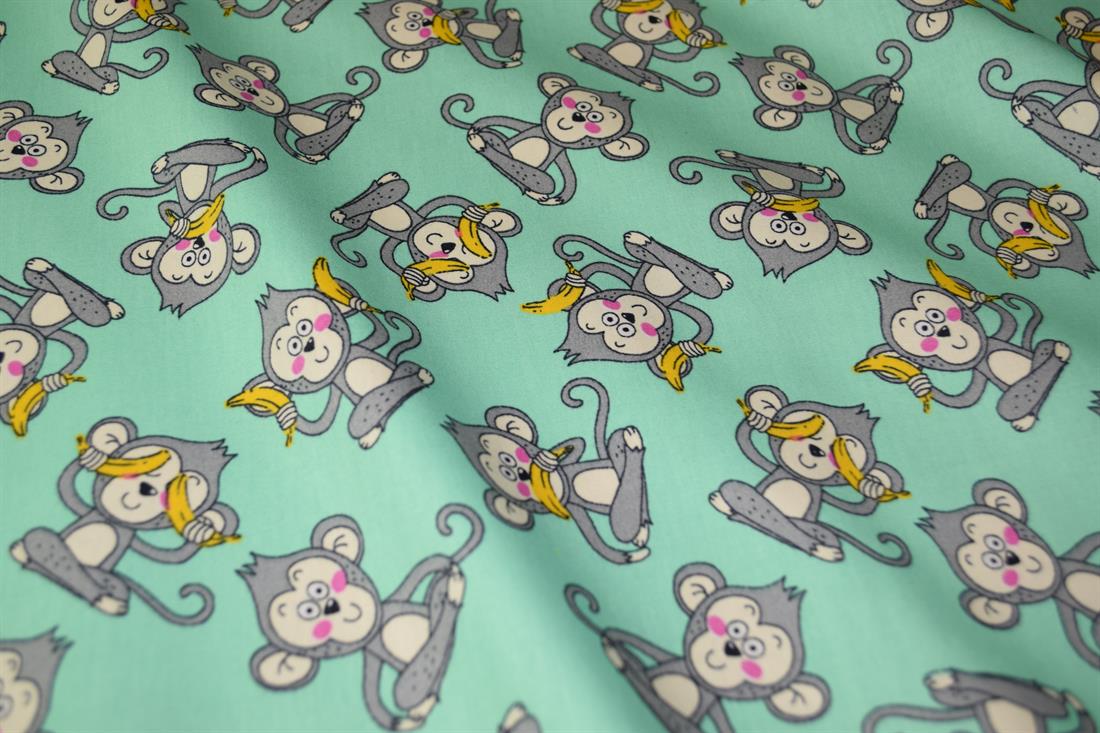 Monkeys - image 2
