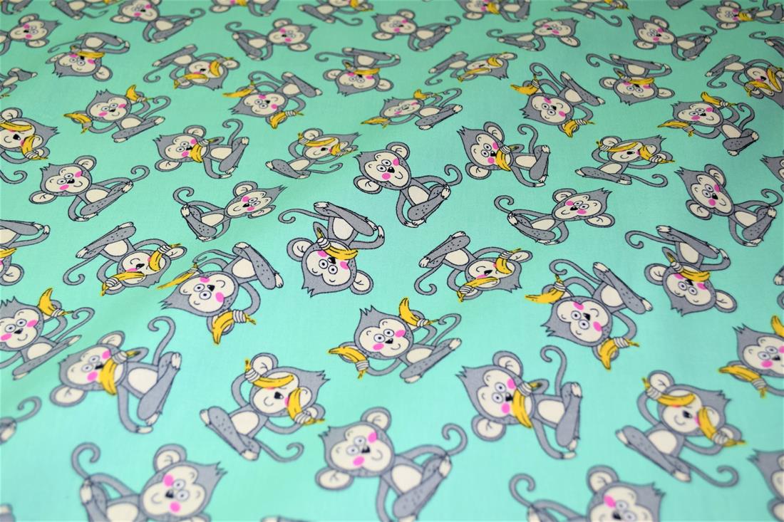 Monkeys - image 4