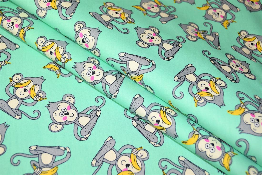 Monkeys - image 5