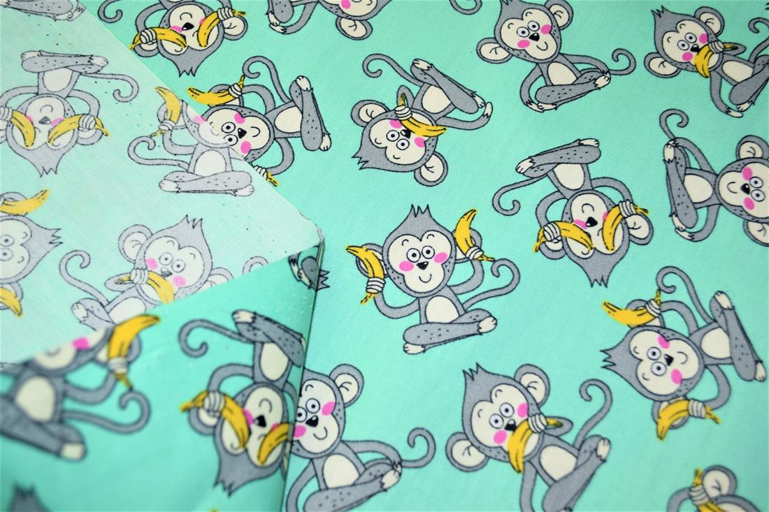 Monkeys - image 7