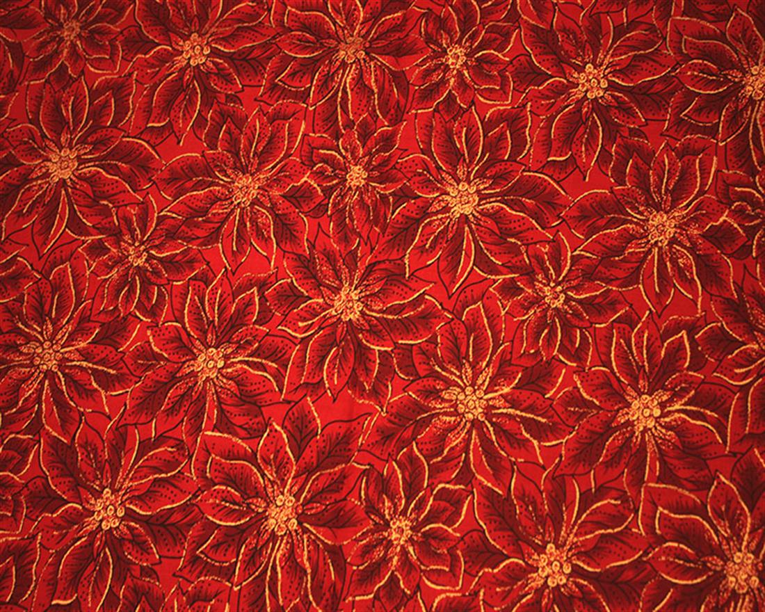 Poinsettia Floral