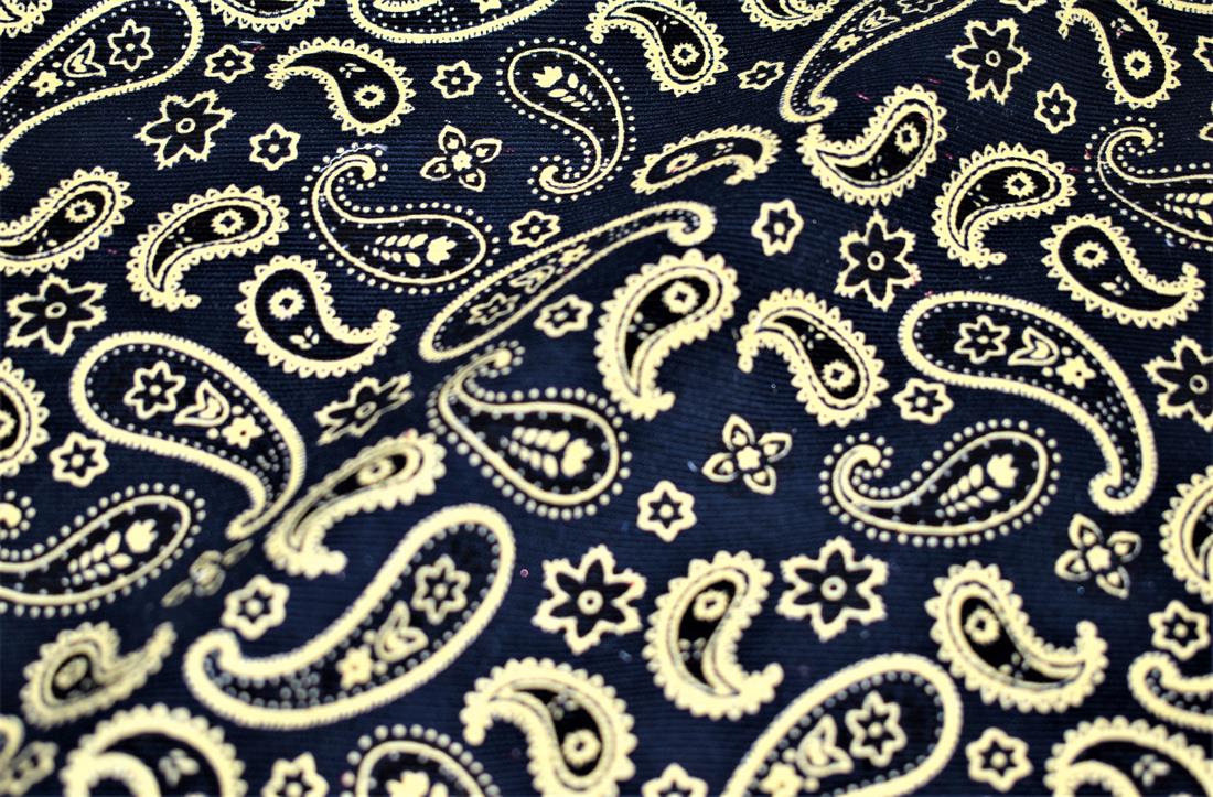Paisley Cord