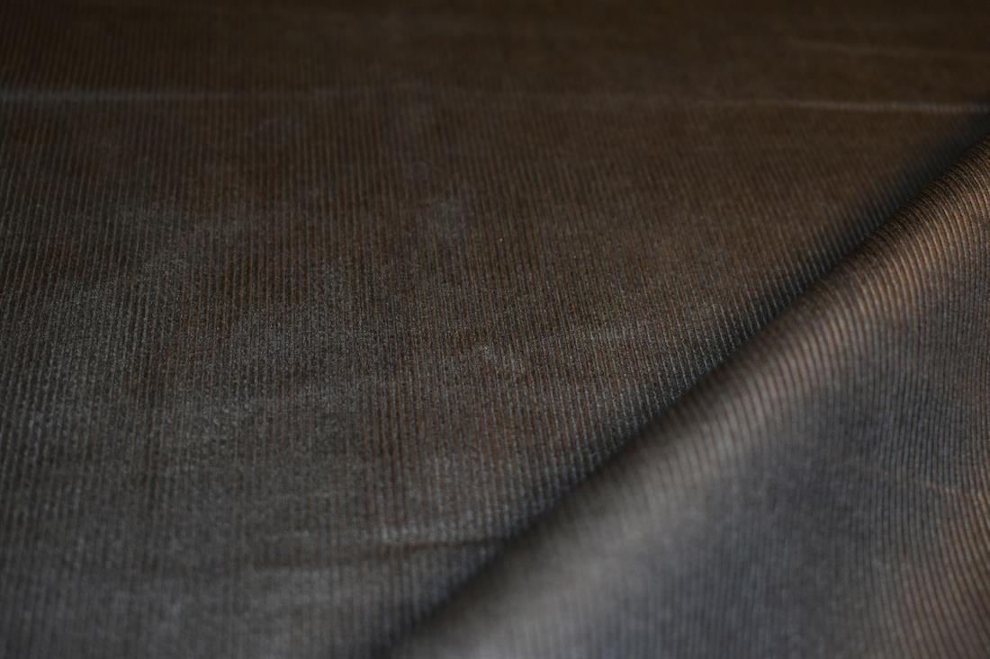 Corduroy