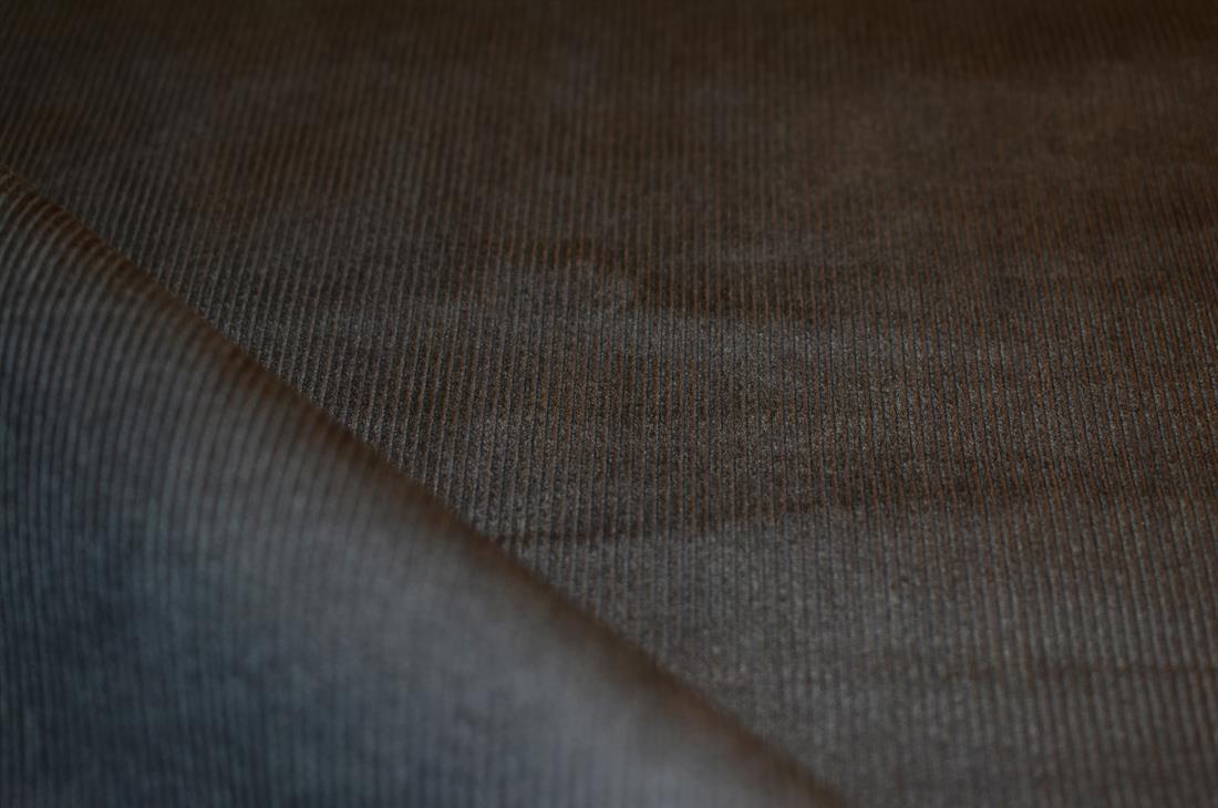 Corduroy