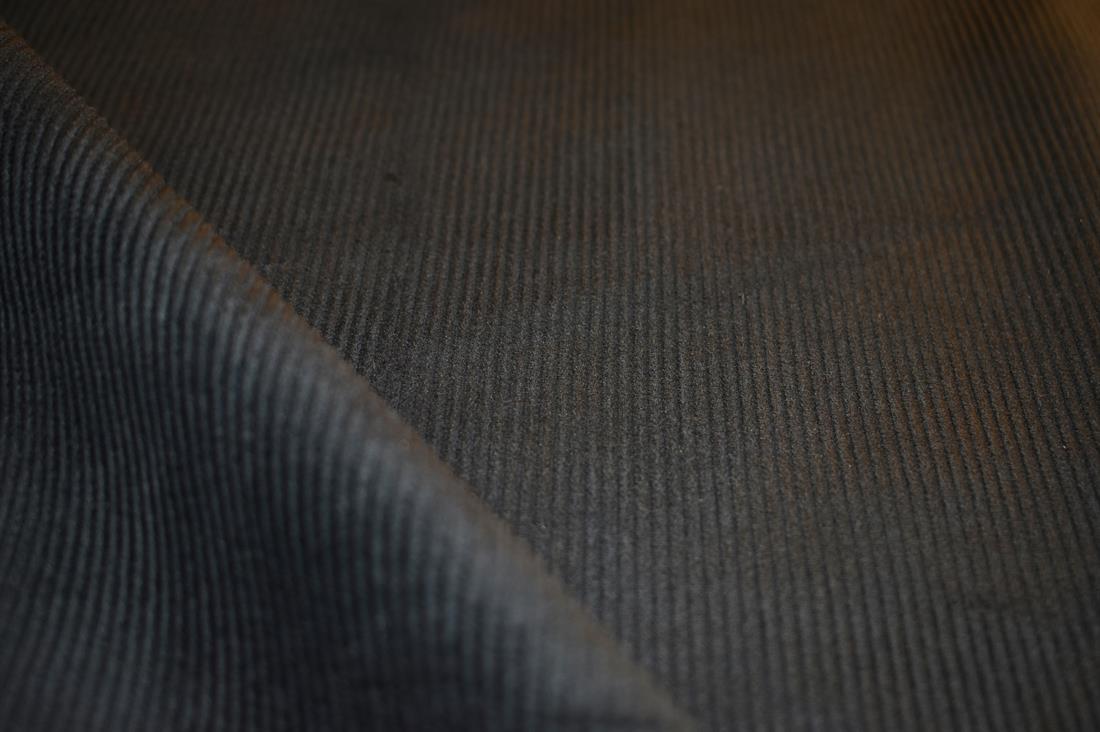 Corduroy