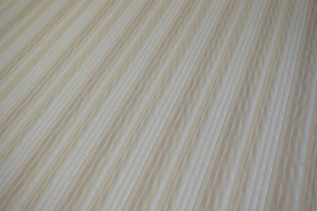 Stripe Print