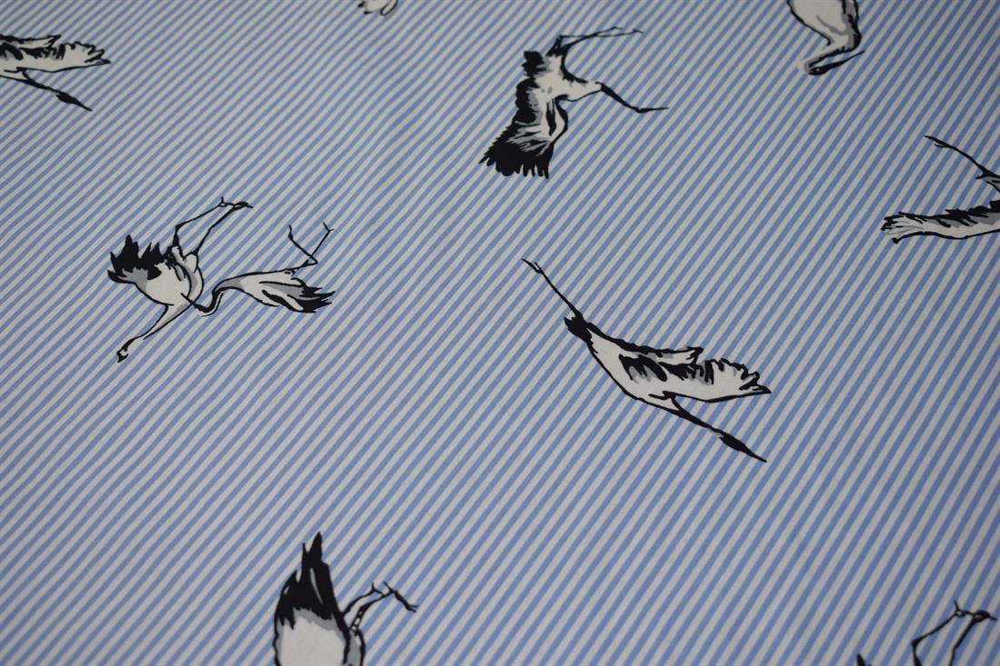 Bird Print
