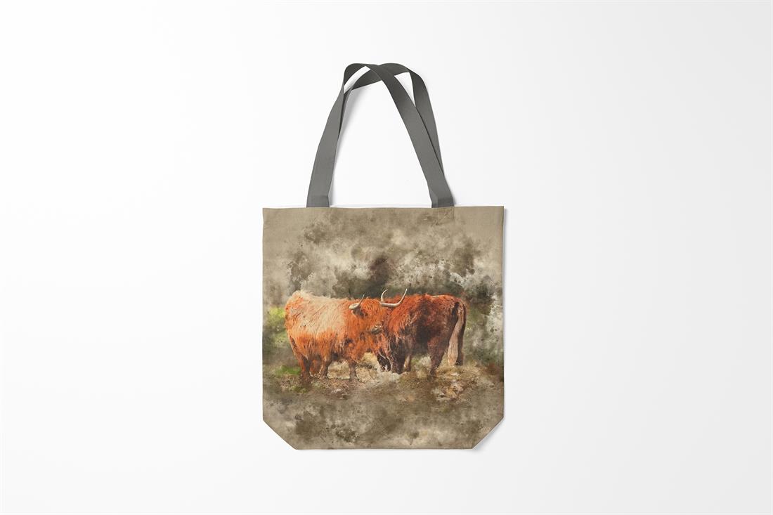 Highland Cow